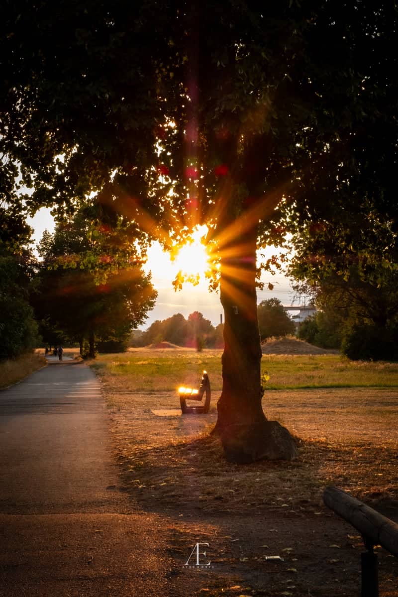 Hanau Park Sunset - Image 1