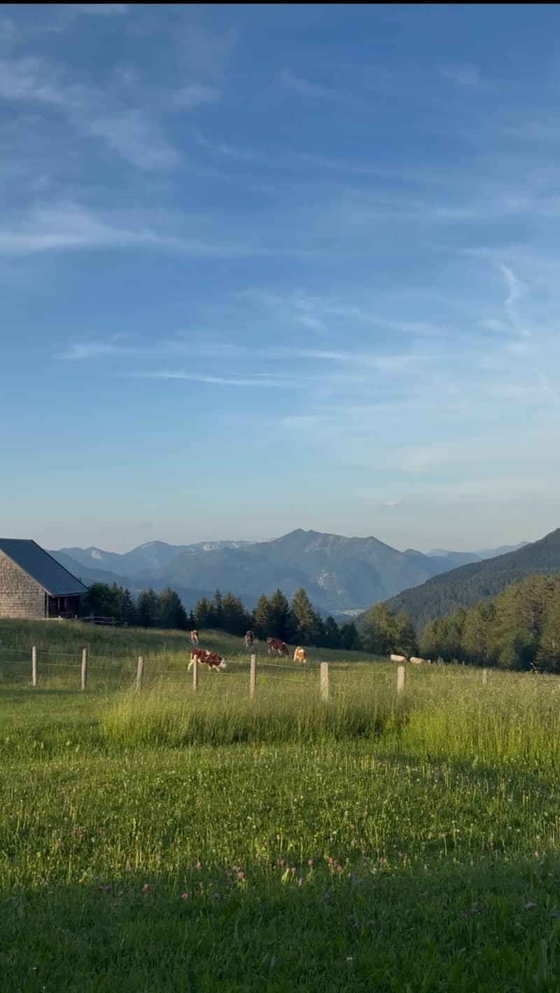Zwölferhorn Alpine Pastures - Image 1