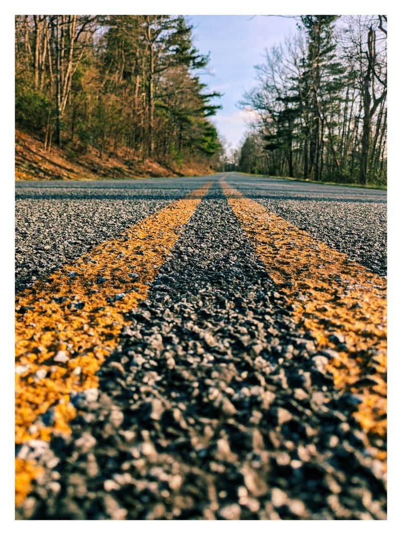 Wooded Country Road Perspective - Image 1