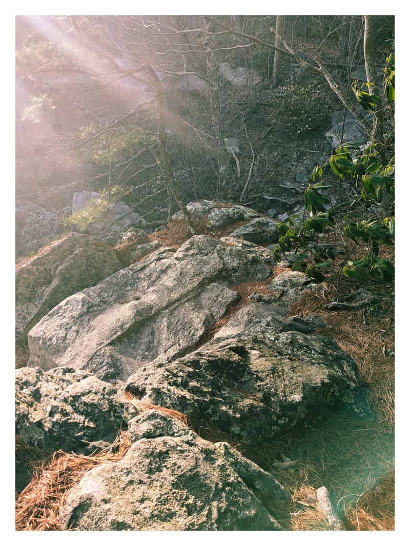 Rocky Woodland Overlook - Image 1