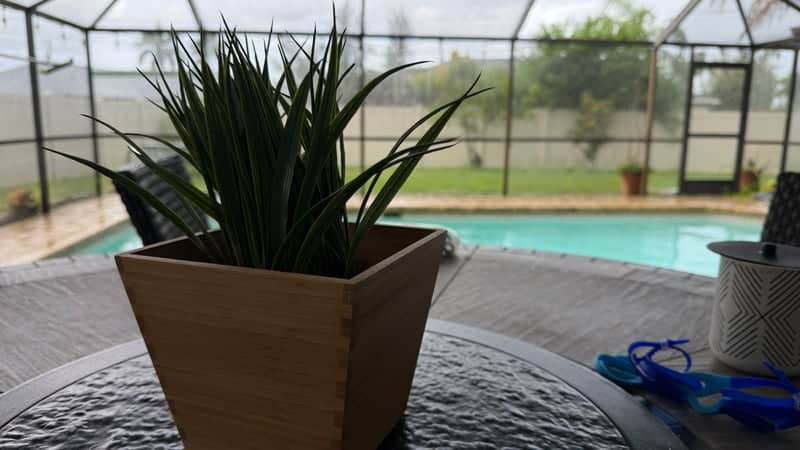 Cape Coral Lanai Poolside - Image 1