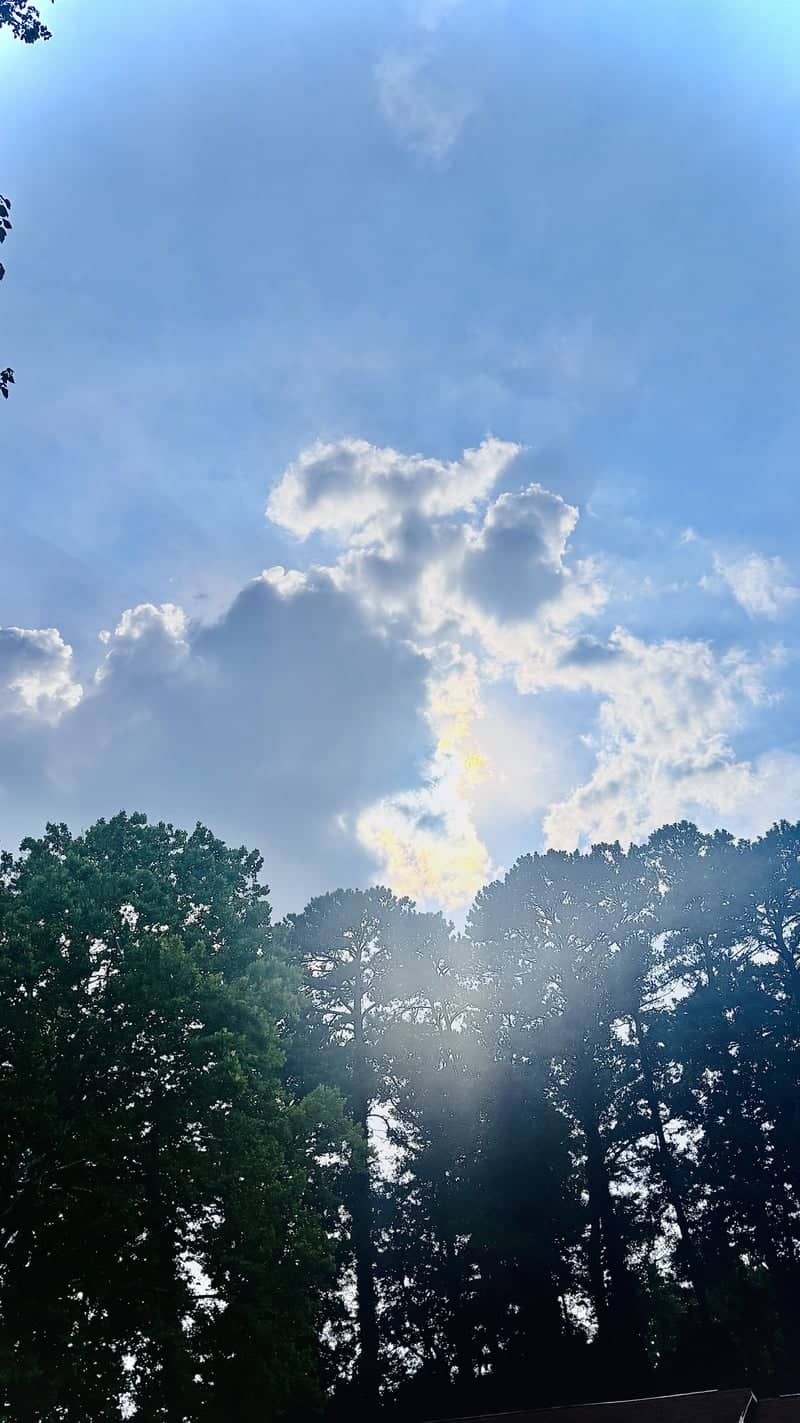 South Carolina State House Grounds - Image 1