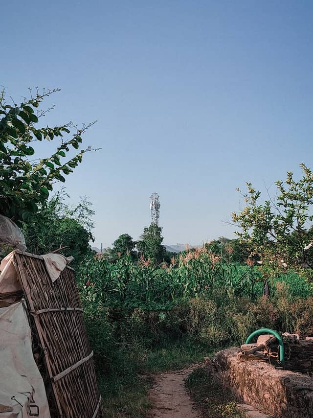 Gadarwara Rural Farmland - Image 1