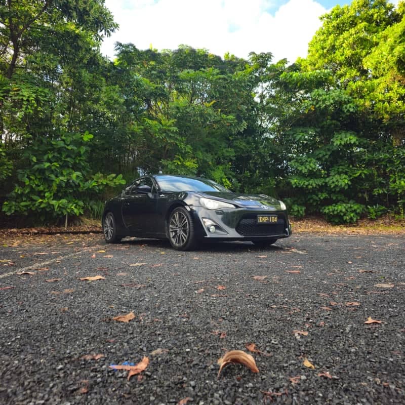 Mission Beach Rainforest Roadside - Image 1