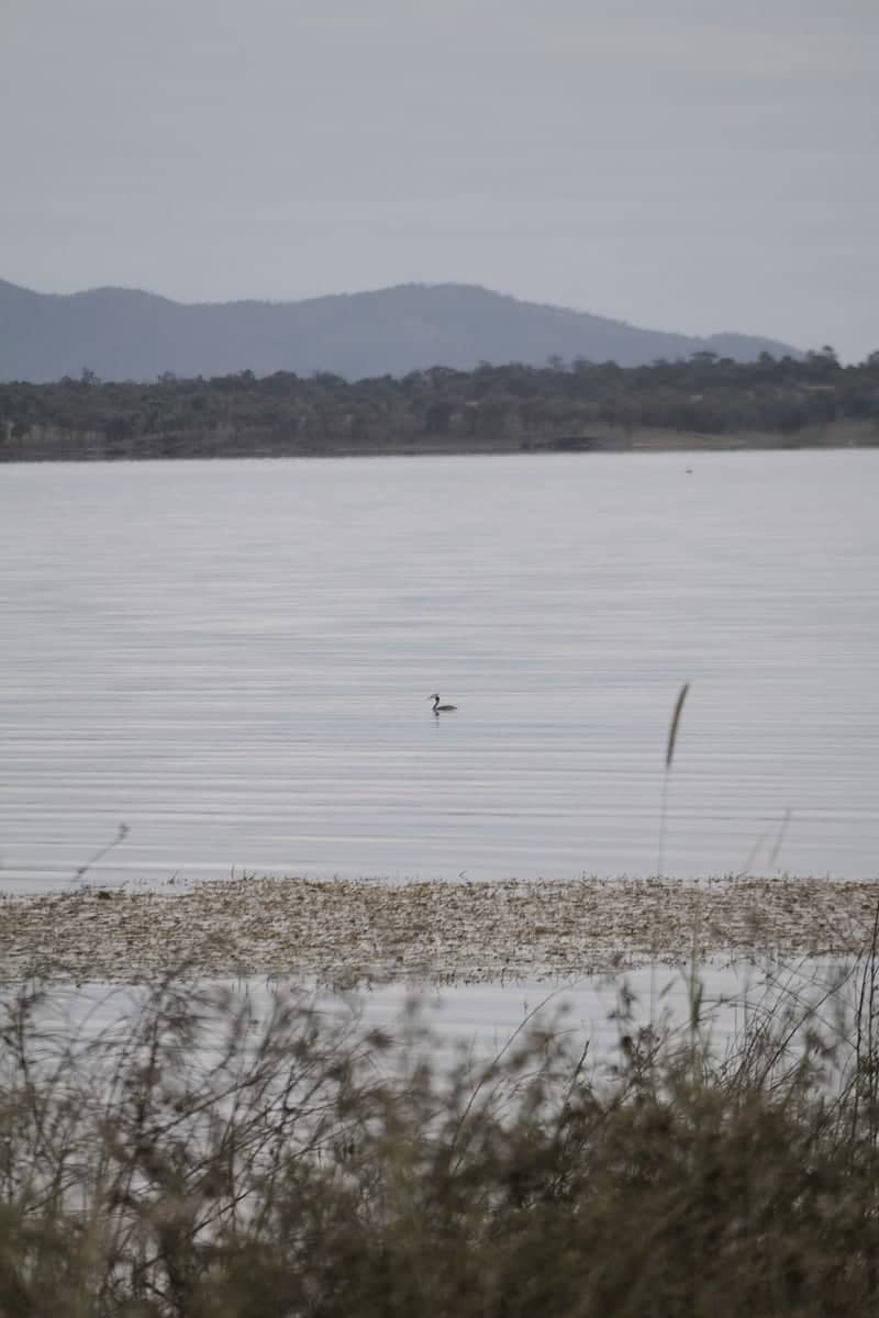 Lake Wivenhoe - Image 1