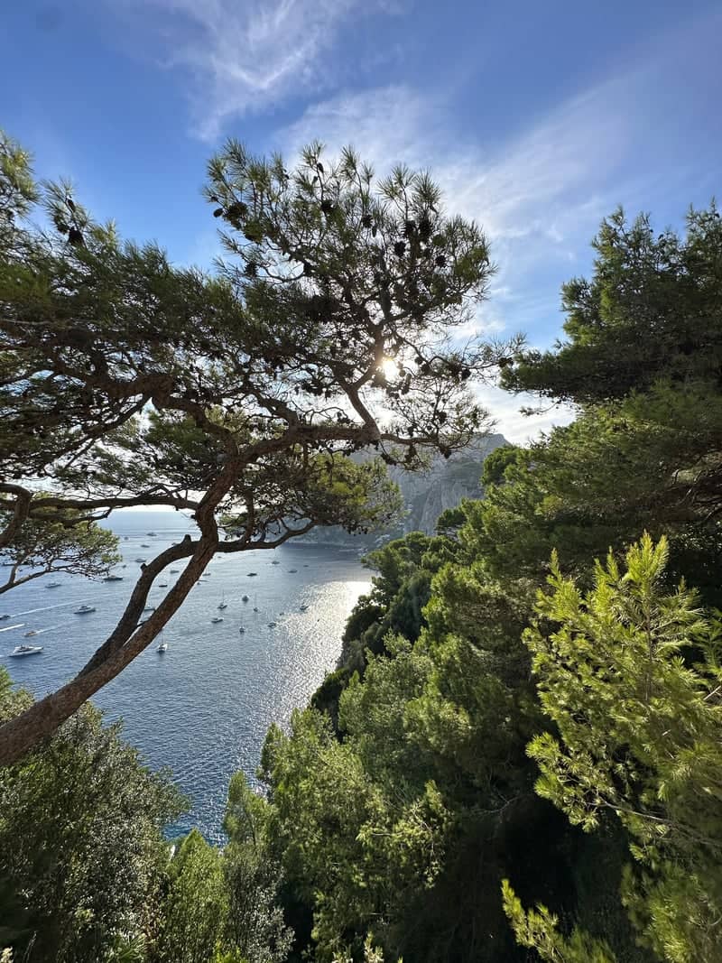 Belvedere di Tragara Overlook - Image 1