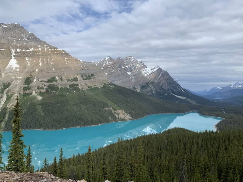 Peyto Lake Overlook - Image 1