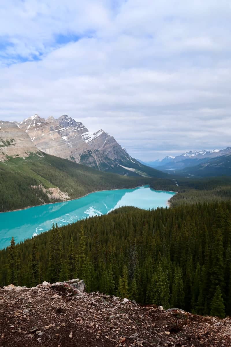 Peyto Lake Overlook - Image 2