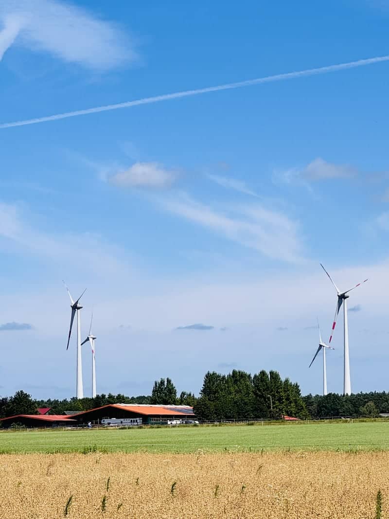 Schneverdingen Rural Landscape - Image 1