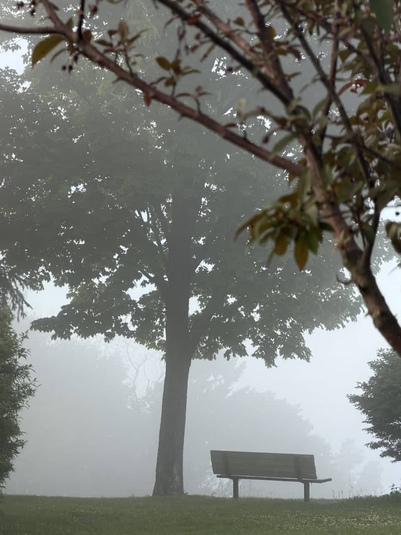 Big Bay Park - Image 1