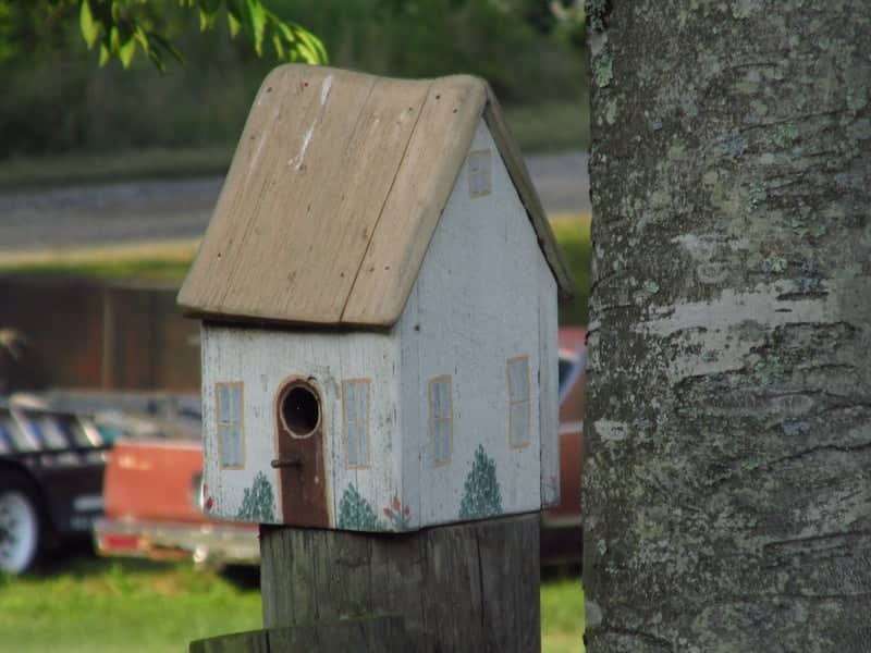 Stafford Garden Birdhouse - Image 1