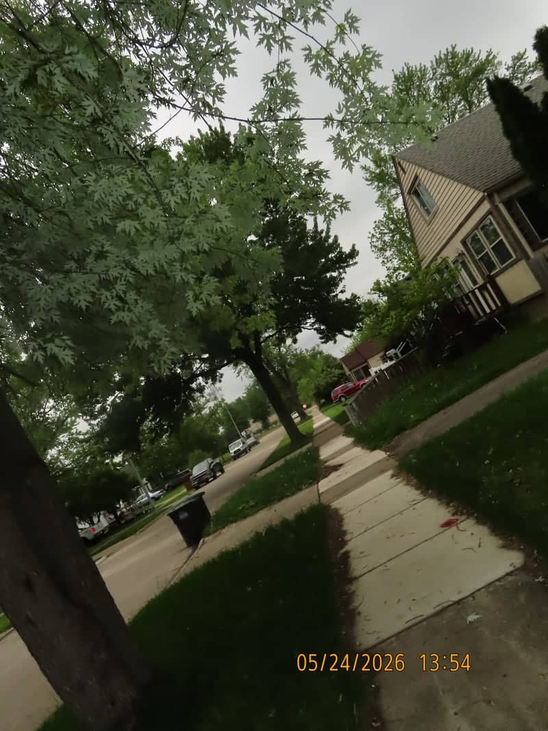Taylor Suburban Streetscape - Image 1