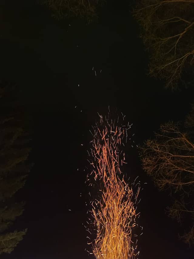 Covasna Forest Campfire - Image 1