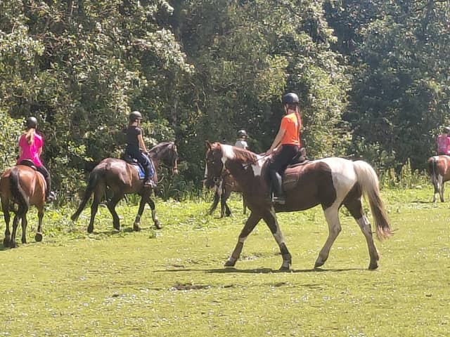 Hitland Equestrian Trails - Image 1