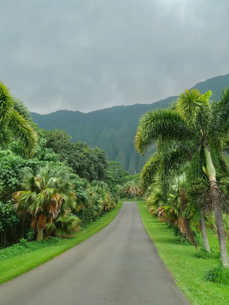Ho'omaluhia Botanical Garden Entrance - Image 1