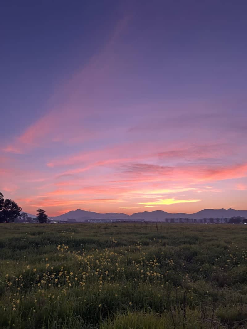Cordelia Hills Sunset Overlook - Image 1