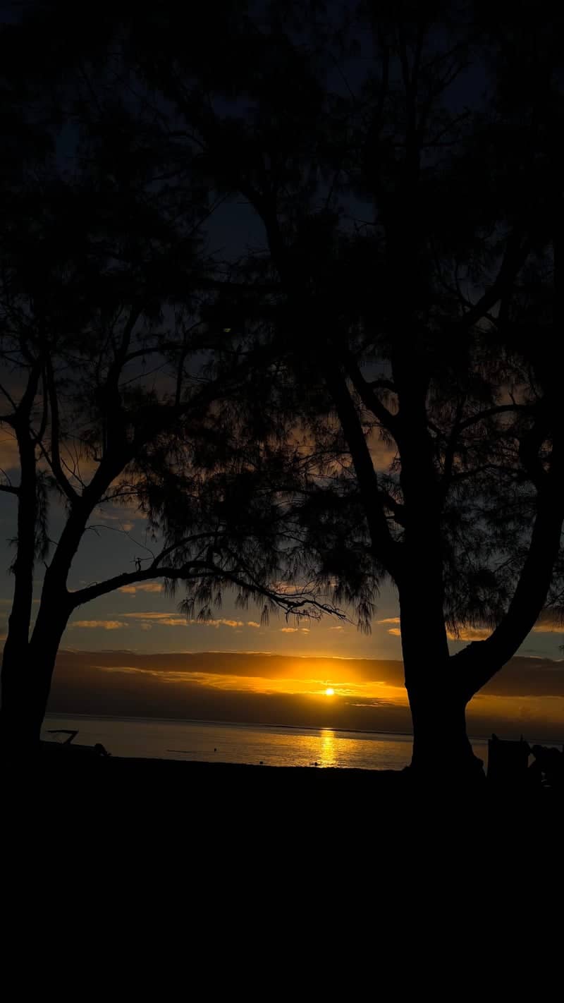 Black River Sunset Coast - Image 1