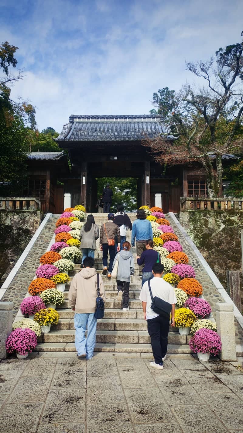 Shuzenji Temple - Image 1