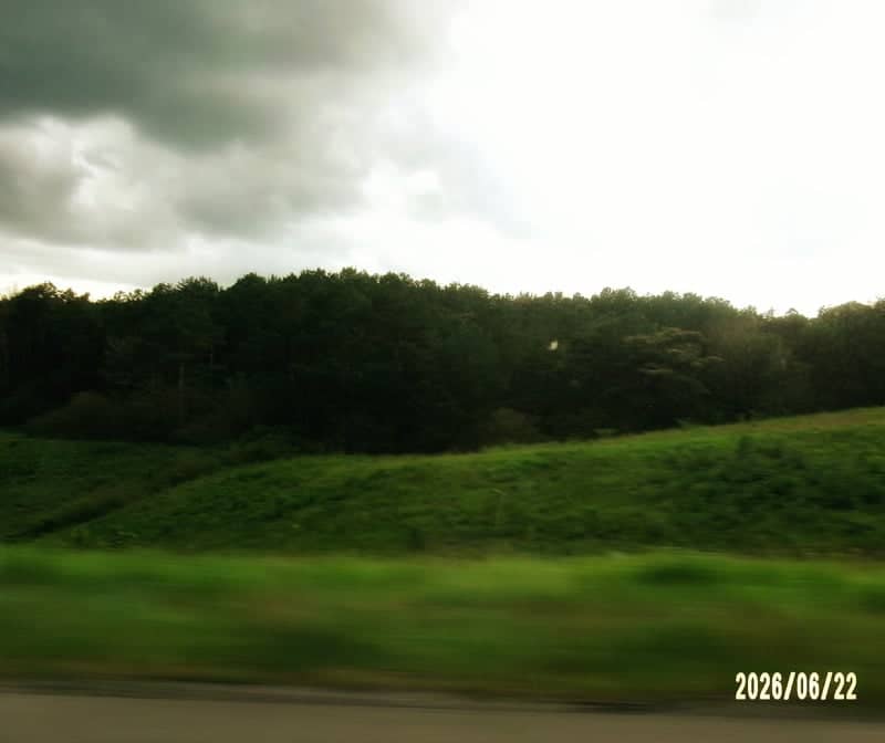 Gardendale Greenbelt - Image 1