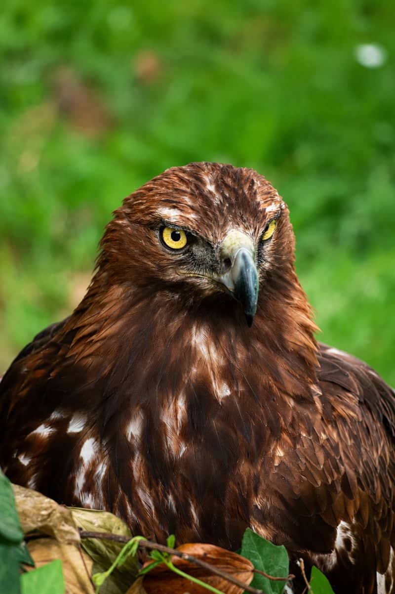 Zoo Santo Inácio - Image 3