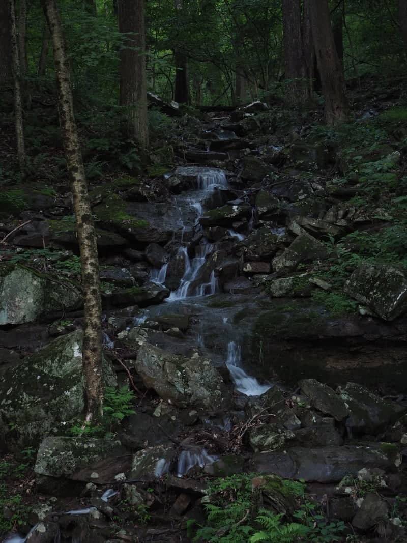 Linn Run Forest Cascade - Image 1