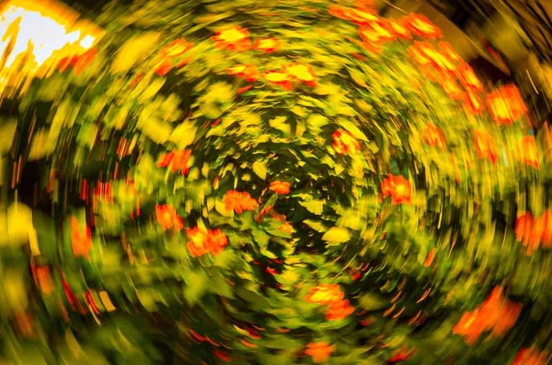 Depok Garden Abstract - Image 1