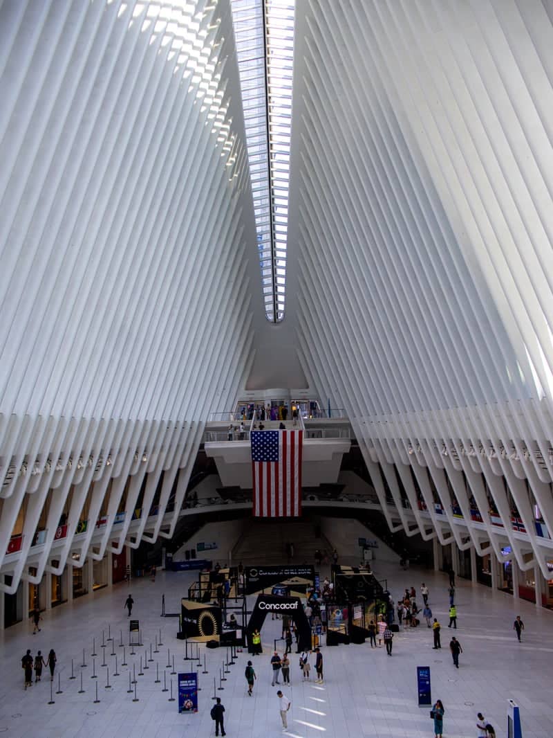 The Oculus - Image 1
