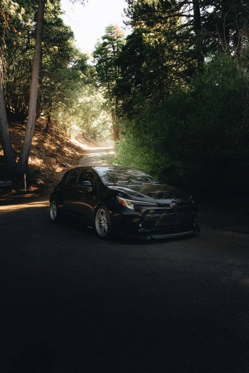 Tehachapi Mountain Forest Road - Image 1