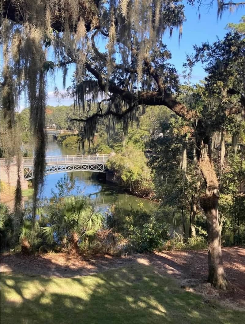 Palmetto Bluff Scenic Bridge - Image 1