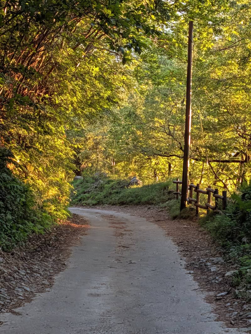 Introbio Mountain Path - Image 1