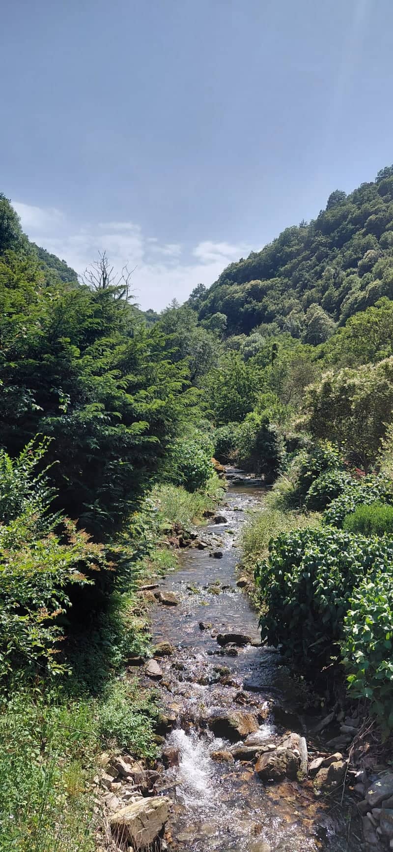 A Pontenova River Valley - Image 1