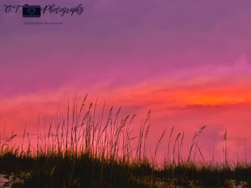 Gulf Shores Plantation Beach - Image 1