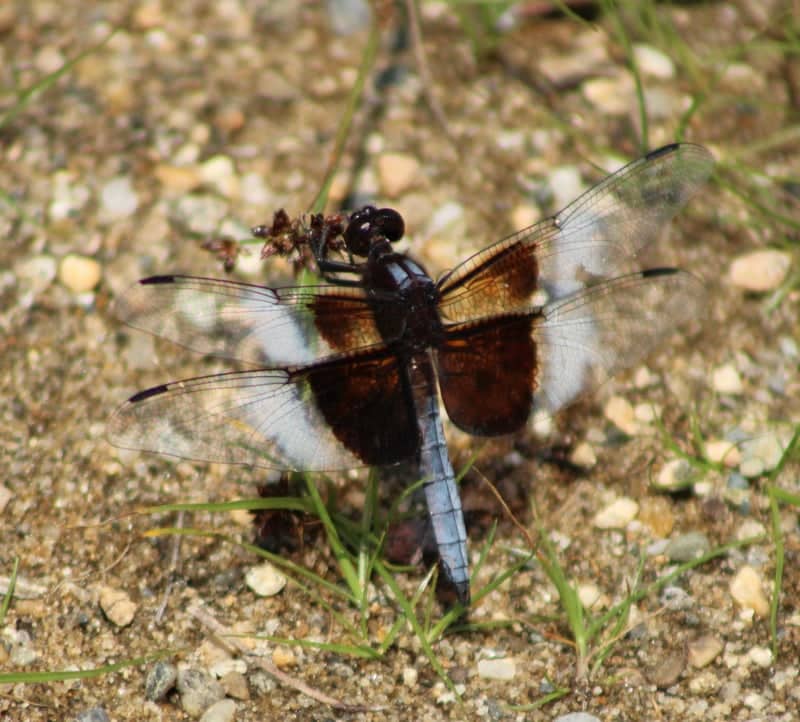 Eastman Lake Nature Trails - Image 1
