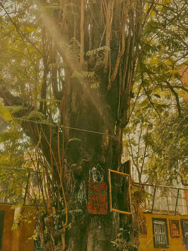 Dhanmondi Artistic Street Scene - Image 1