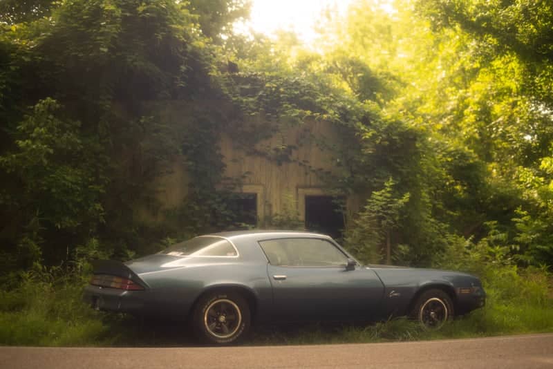 Overgrown Structure on Andersonville Pike - Image 1
