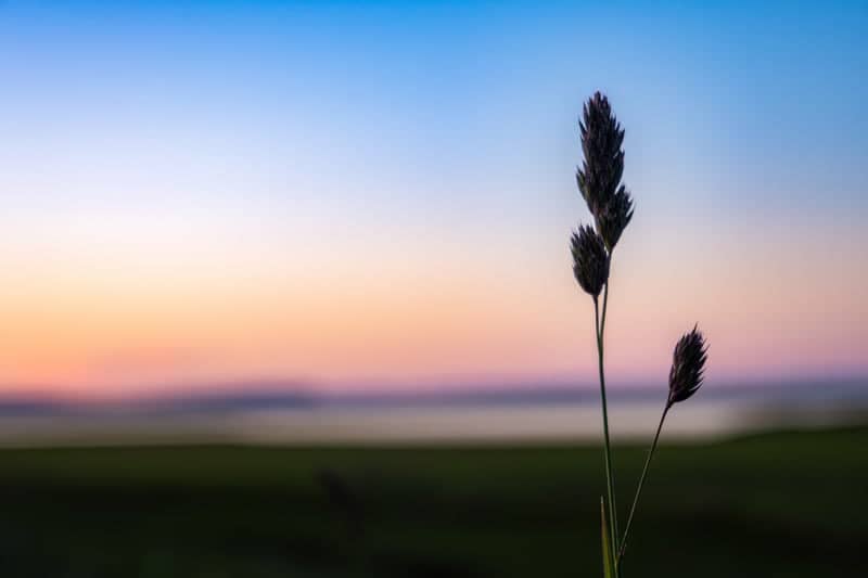 Wolfville Waterfront Park - Image 1