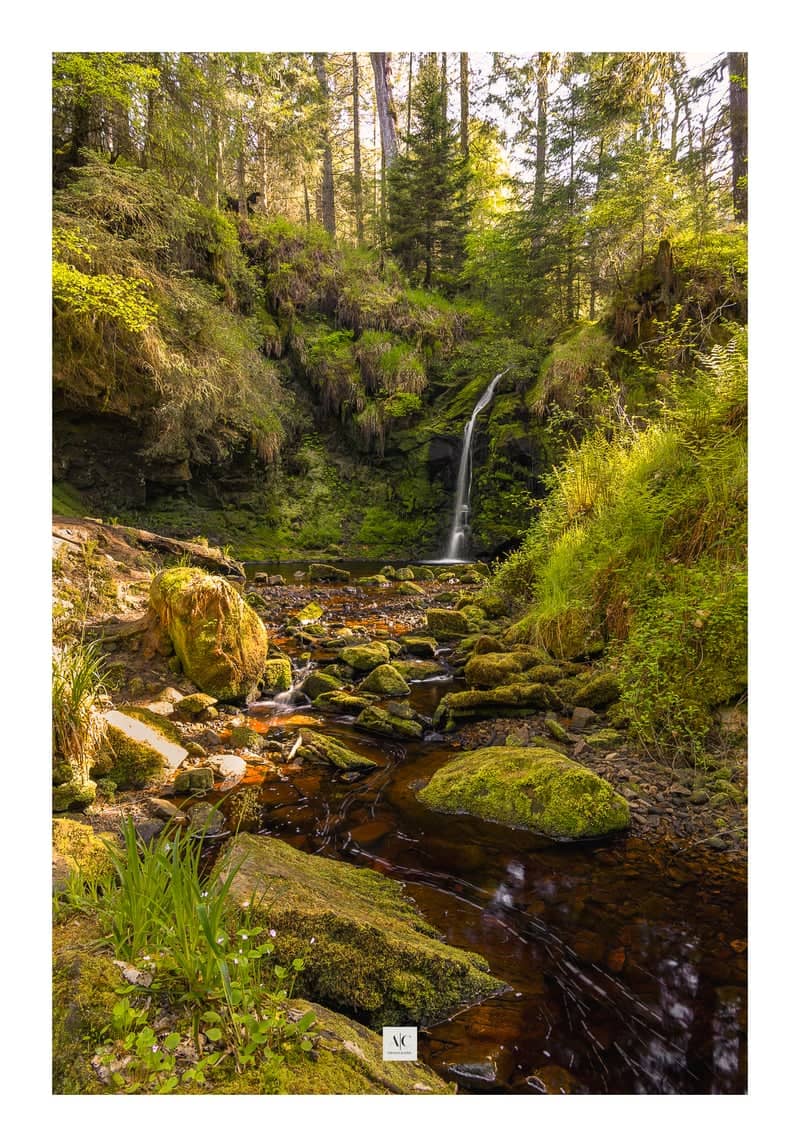 Kielder Castle Woodland Waterfall - Image 1