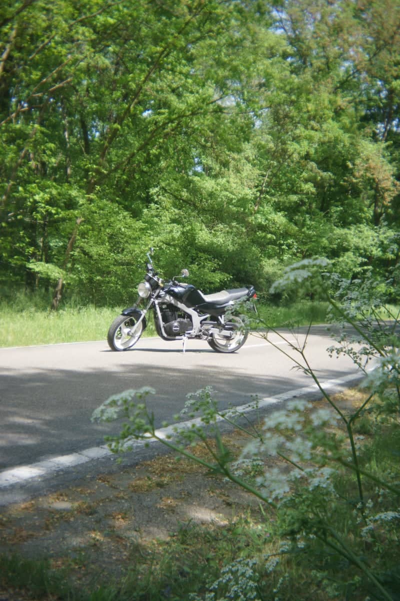 Einhausen Forest Road - Image 1