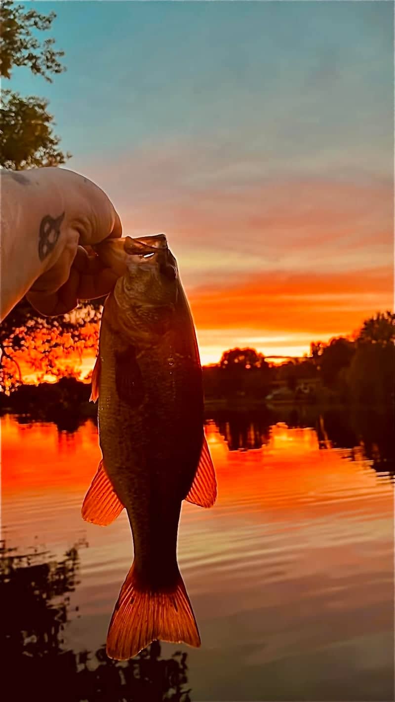 Baerenwald Road Fishing Spot - Image 1