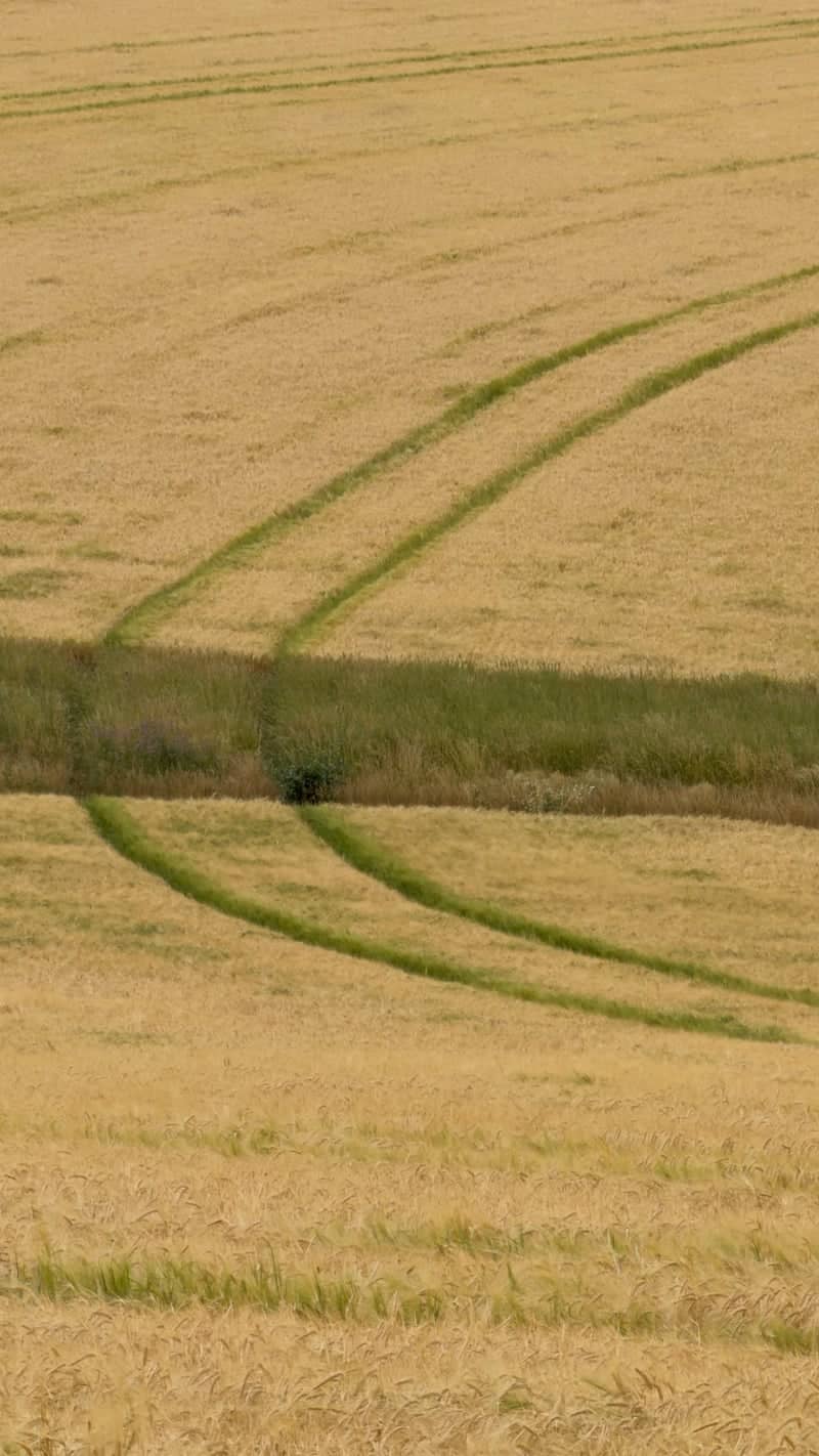 Moravian Tuscany Fields - Image 1