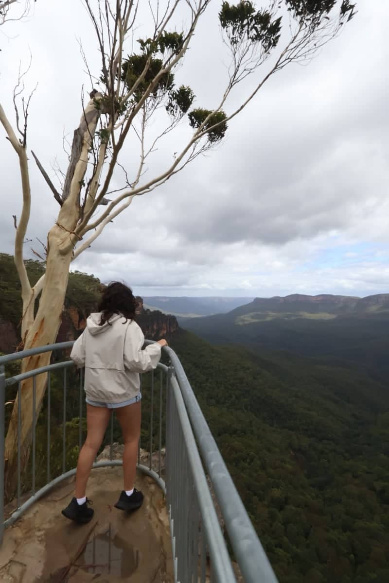 Blue Mountain Heights Lookout - Image 1