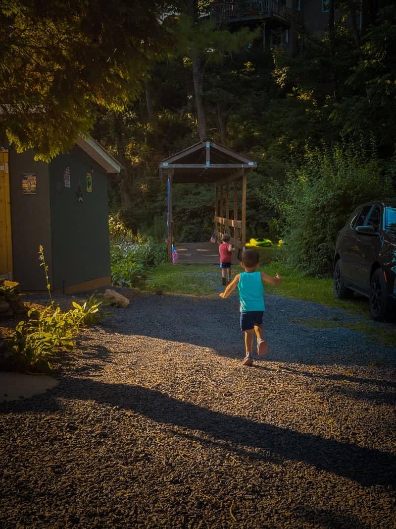 Golden Hour Garden Path - Image 1