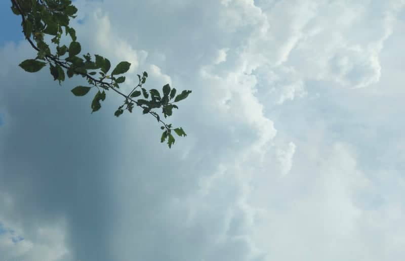 Rural Sky Over Chepa - Image 1