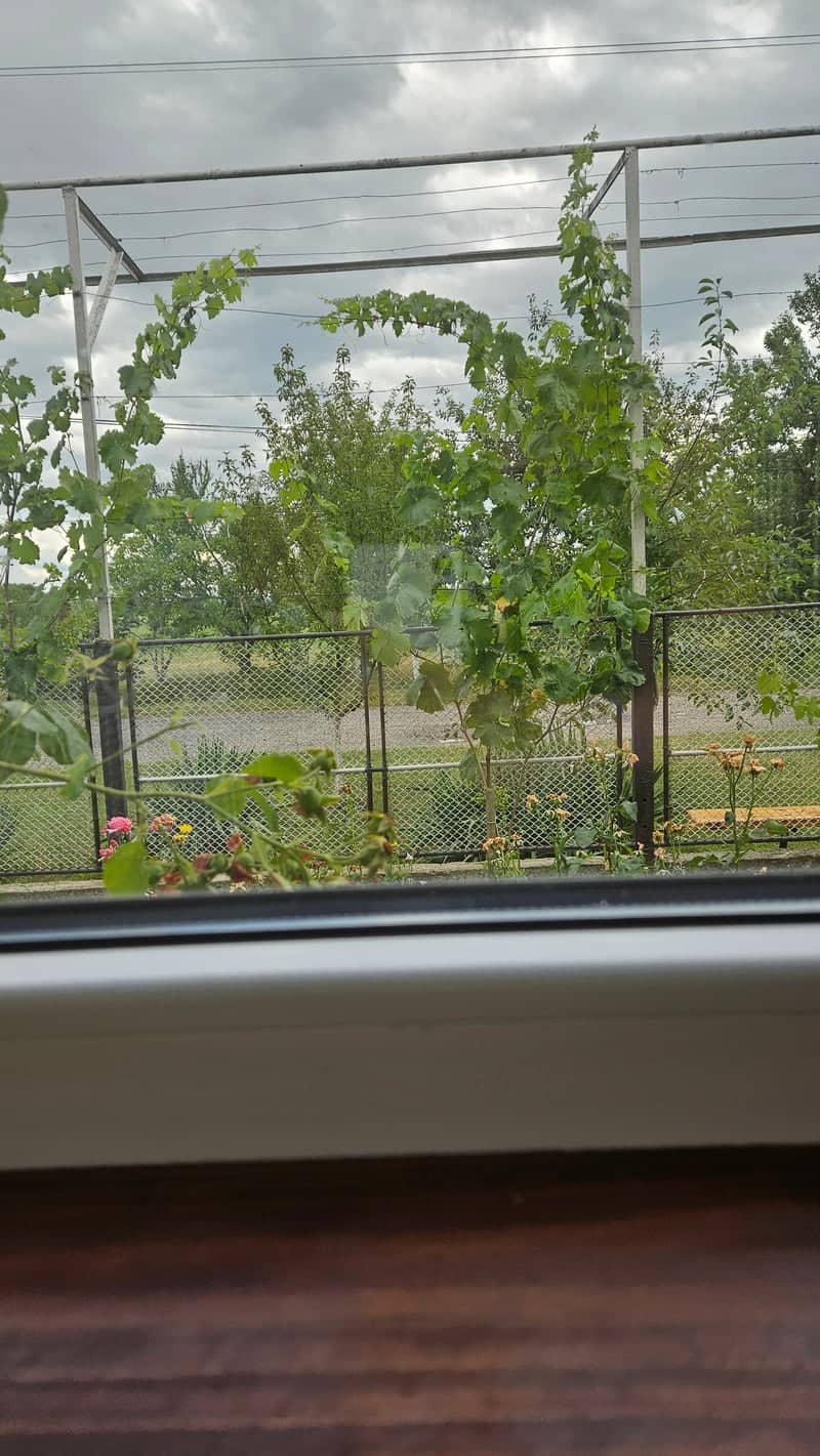 Berehove Garden View - Image 1
