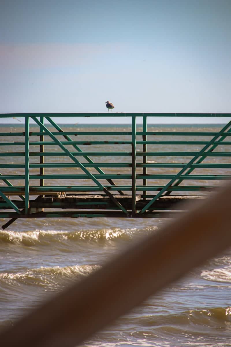Matagorda Beach Pier - Image 1