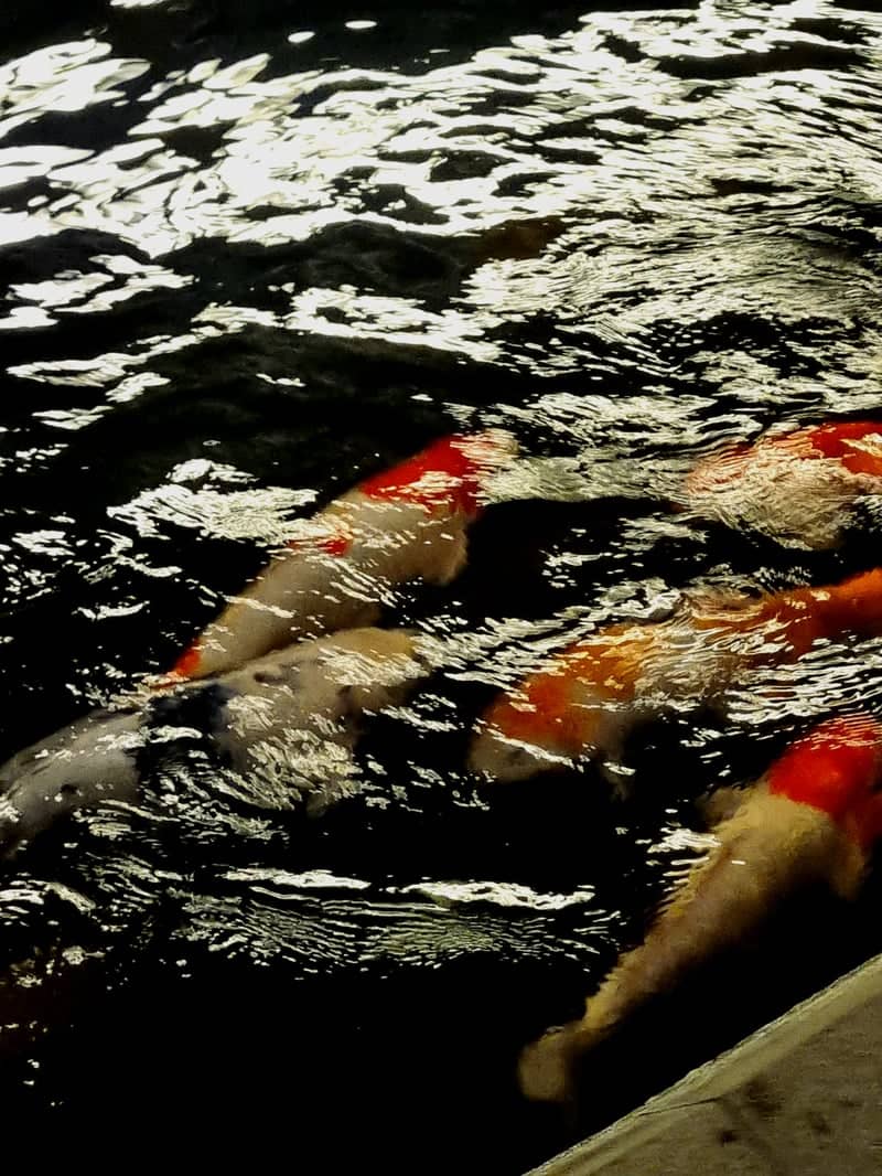 Koi Pond at Tribeca Park - Image 1