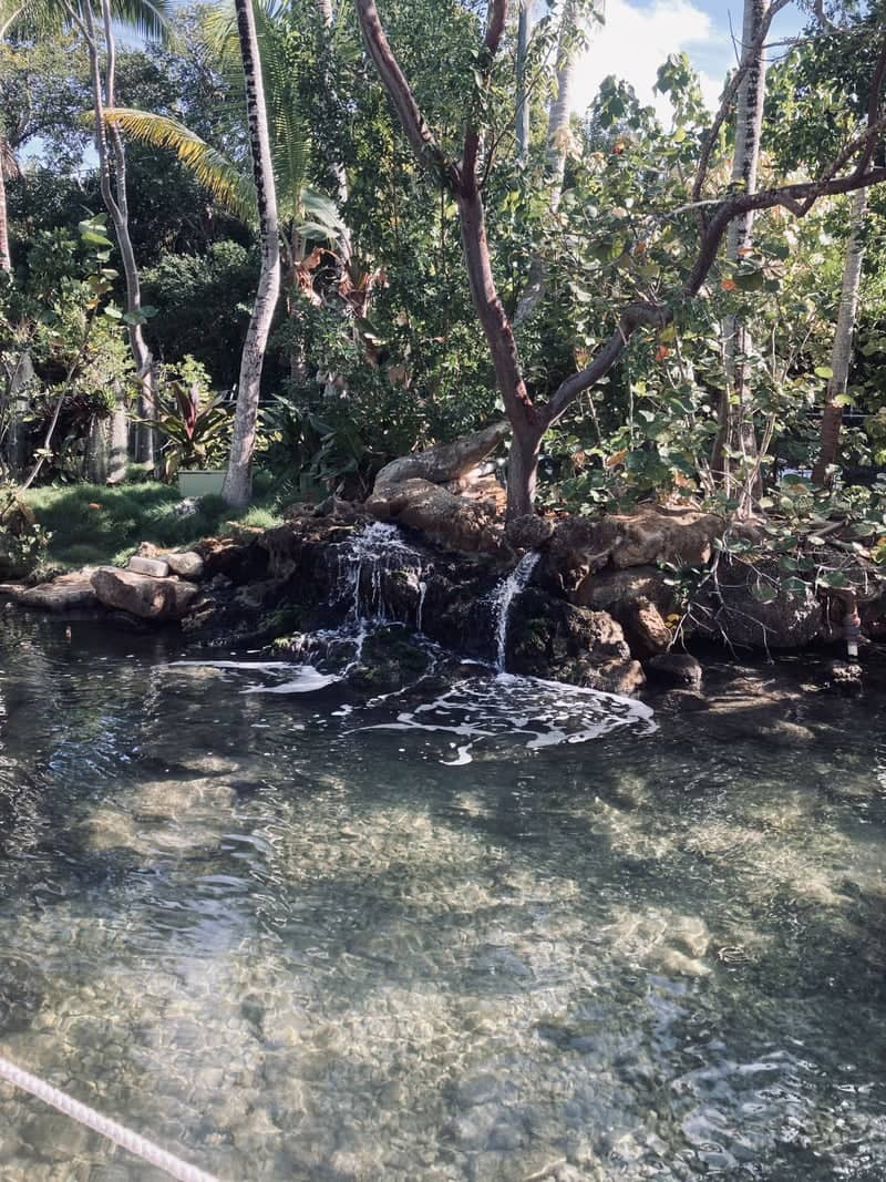 The Moorings Village Gardens - Image 1