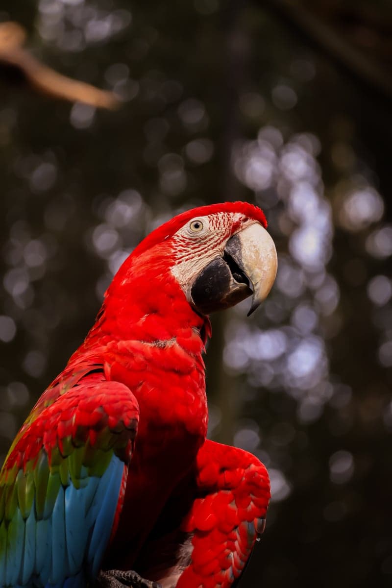 Parque das Aves