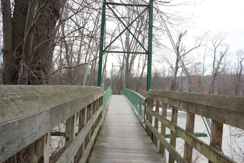 Cass Park Suspension Bridge - Image 1