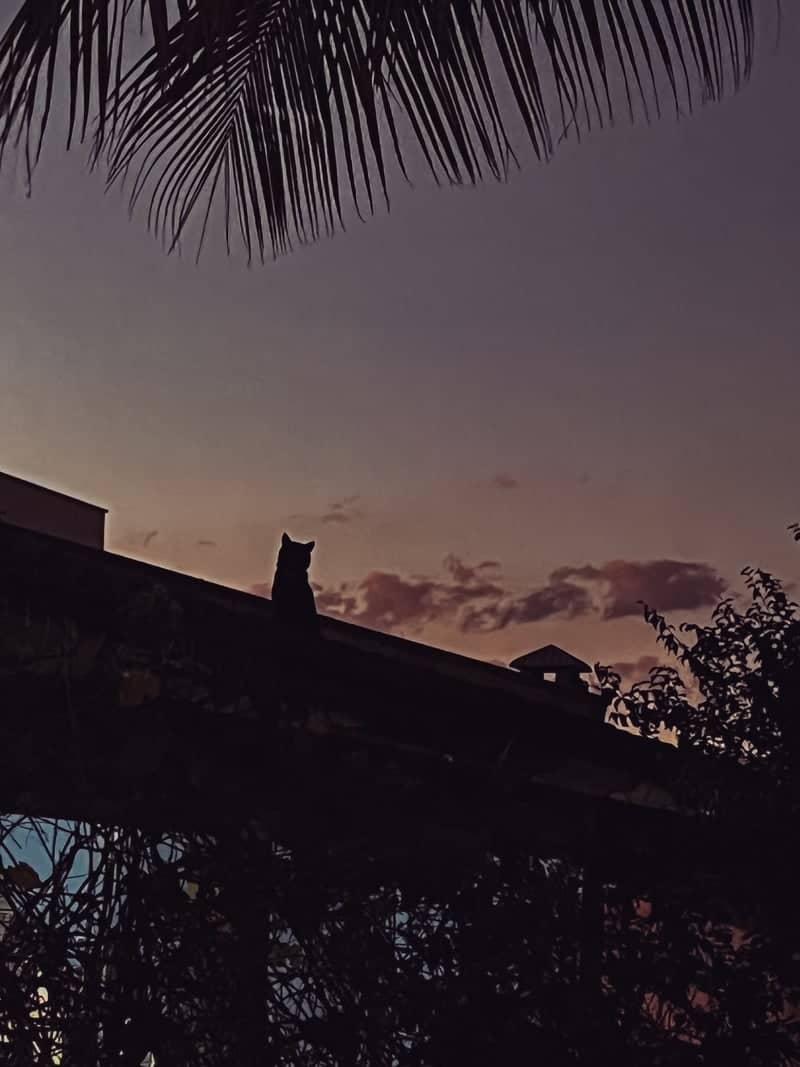 Uberlândia Rooftop Sunset - Image 1